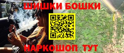 крисы Будённовск